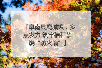 阜南县鹿城镇：多点发力 筑牢秸秆禁烧“防火墙”