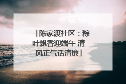 陈家渡社区：粽叶飘香迎端午 清风正气话清廉