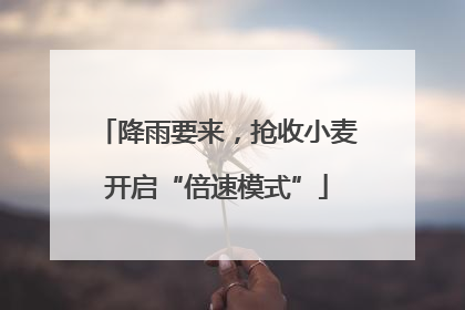 降雨要来，抢收小麦开启“倍速模式”