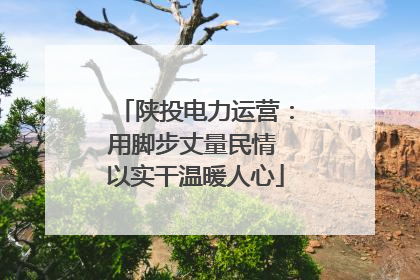 陕投电力运营：用脚步丈量民情 以实干温暖人心