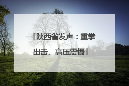 陕西省发声：重拳出击、高压震慑