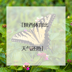 陕西体育比天气还热