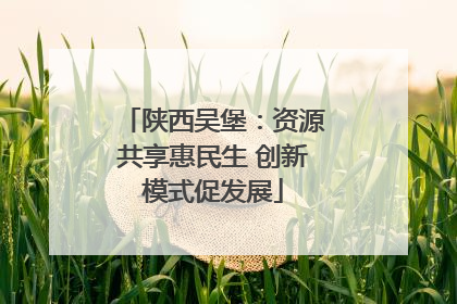陕西吴堡：资源共享惠民生 创新模式促发展