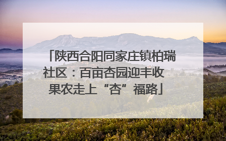 陕西合阳同家庄镇柏瑞社区：百亩杏园迎丰收 果农走上“杏”福路