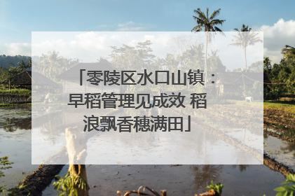 零陵区水口山镇：早稻管理见成效 稻浪飘香穗满田