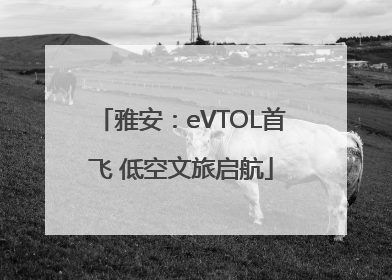 雅安：eVTOL首飞 低空文旅启航