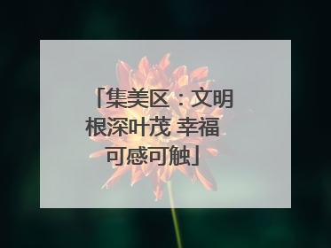 集美区：文明根深叶茂 幸福可感可触