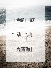 雪豹“跃”动 “典”亮青海