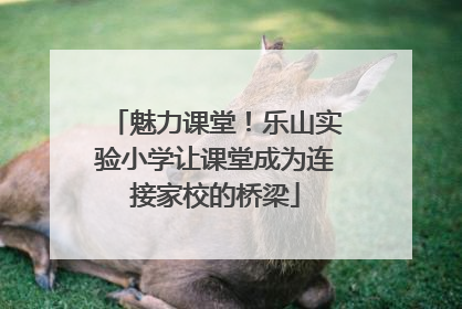 魅力课堂！乐山实验小学让课堂成为连接家校的桥梁