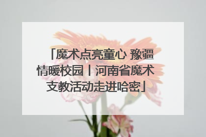 魔术点亮童心 豫疆情暖校园丨河南省魔术支教活动走进哈密