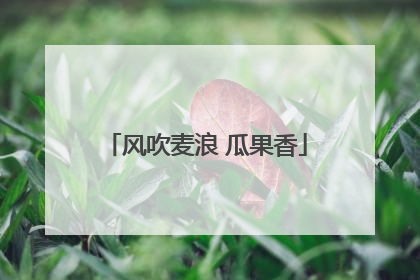 风吹麦浪 瓜果香