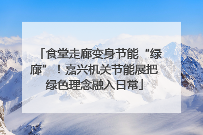 食堂走廊变身节能“绿廊”！嘉兴机关节能展把绿色理念融入日常