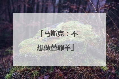 马斯克：不想做替罪羊