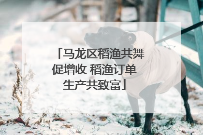 马龙区稻渔共舞促增收 稻渔订单生产共致富