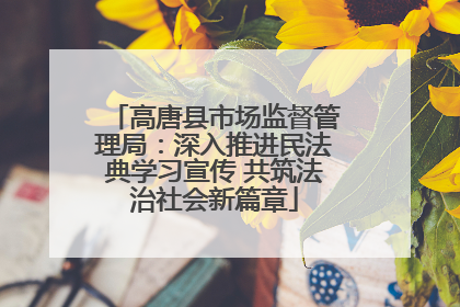 高唐县市场监督管理局：深入推进民法典学习宣传 共筑法治社会新篇章