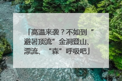 高温来袭？不如到“避暑顶流”金洞登山、漂流、“森”呼吸吧