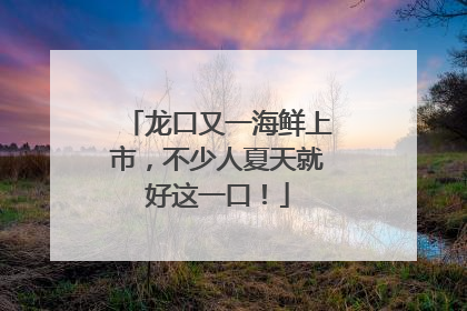 龙口又一海鲜上市，不少人夏天就好这一口！