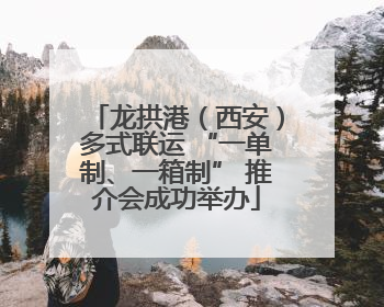 龙拱港（西安）多式联运 “一单制、一箱制” 推介会成功举办