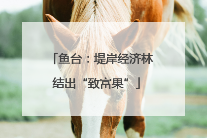 鱼台：堤岸经济林结出“致富果”