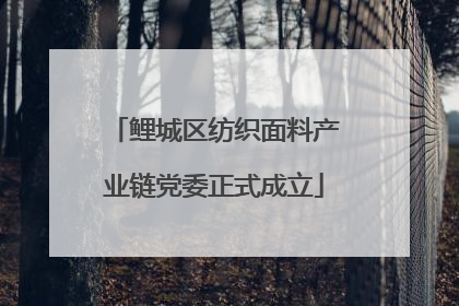 鲤城区纺织面料产业链党委正式成立