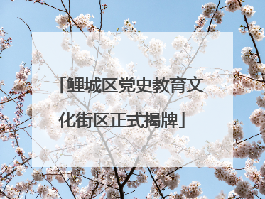 鲤城区党史教育文化街区正式揭牌