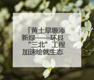 黄土旱塬添新绿——环县“三北”工程加速绘就生态新画卷