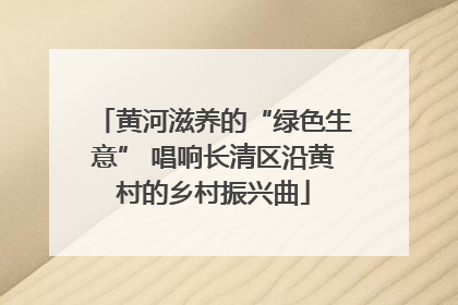 黄河滋养的“绿色生意” 唱响长清区沿黄村的乡村振兴曲