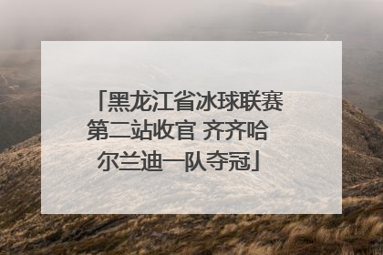 黑龙江省冰球联赛第二站收官 齐齐哈尔兰迪一队夺冠