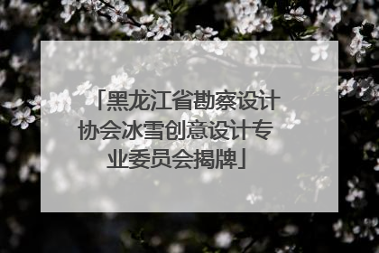 黑龙江省勘察设计协会冰雪创意设计专业委员会揭牌