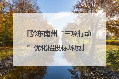 黔东南州“三项行动”优化招投标环境