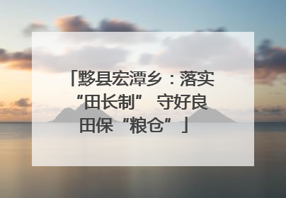 黟县宏潭乡：落实“田长制” 守好良田保“粮仓”