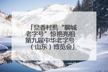 鼎香村携“聊城老字号”惊艳亮相第九届中华老字号（山东）博览会