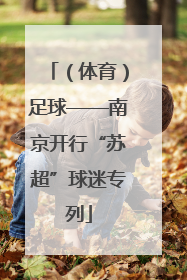 （体育）足球——南京开行“苏超”球迷专列