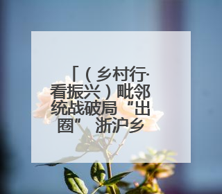 （乡村行·看振兴）毗邻统战破局“出圈” 浙沪乡村绘就共富新图景