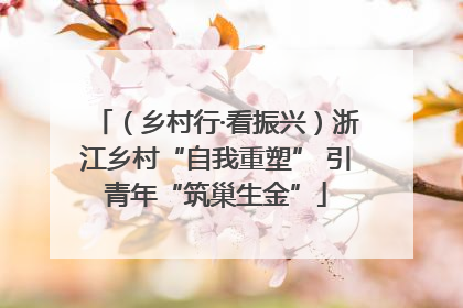 （乡村行·看振兴）浙江乡村“自我重塑” 引青年“筑巢生金”