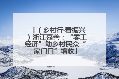 （乡村行·看振兴）浙江嘉善：“零工经济”助乡村民众“家门口”增收