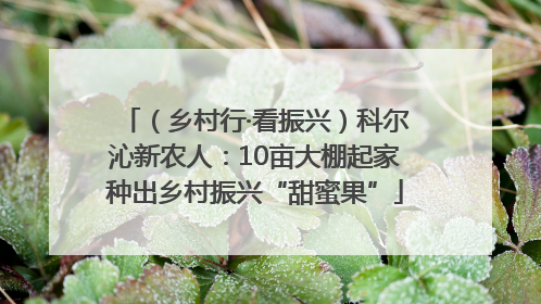 （乡村行·看振兴）科尔沁新农人：10亩大棚起家种出乡村振兴“甜蜜果”