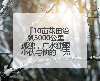 10亩花田治愈3000公里孤独，广水独眼小伙与他的“无尽夏”