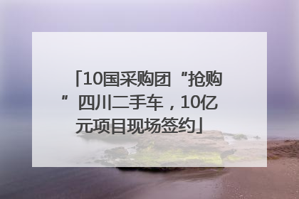 10国采购团“抢购”四川二手车，10亿元项目现场签约