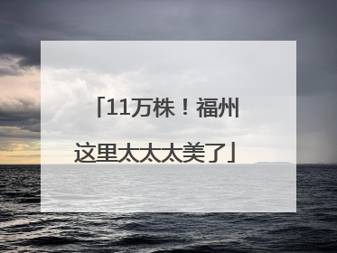 11万株！福州这里太太太美了