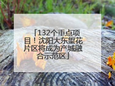 132个重点项目！沈阳大东望花片区将成为产城融合示范区