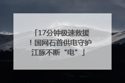 17分钟极速救援！国网石首供电守护江豚不断“电”