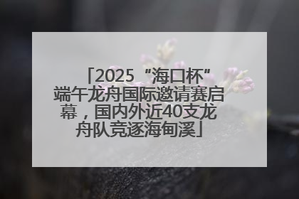 2025“海口杯”端午龙舟国际邀请赛启幕，国内外近40支龙舟队竞逐海甸溪