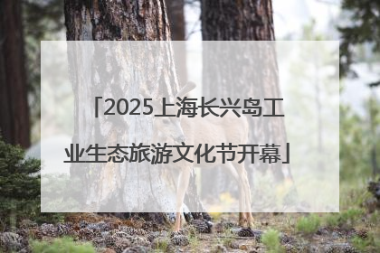 2025上海长兴岛工业生态旅游文化节开幕