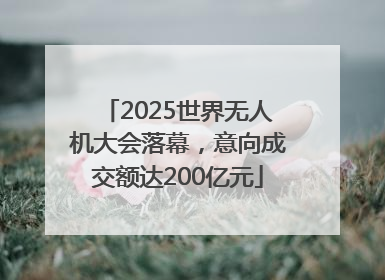 2025世界无人机大会落幕，意向成交额达200亿元