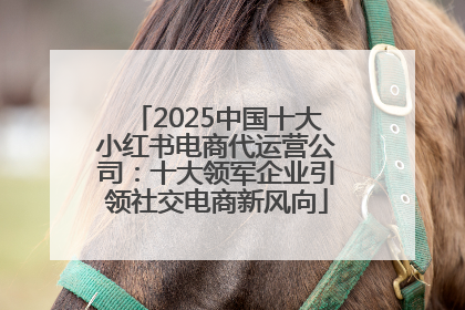 2025中国十大小红书电商代运营公司：十大领军企业引领社交电商新风向
