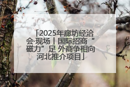 2025年廊坊经洽会·现场丨国际招商“磁力”足 外商争相向河北推介项目