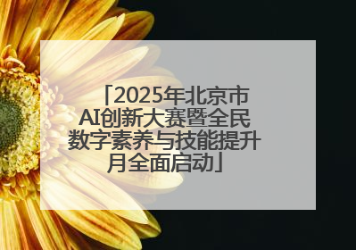 2025年北京市AI创新大赛暨全民数字素养与技能提升月全面启动