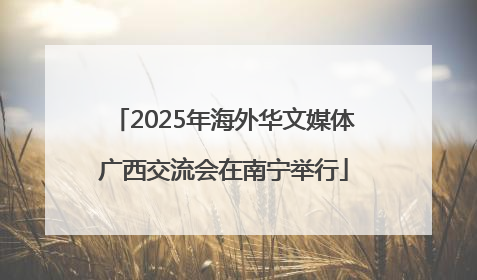 2025年海外华文媒体广西交流会在南宁举行