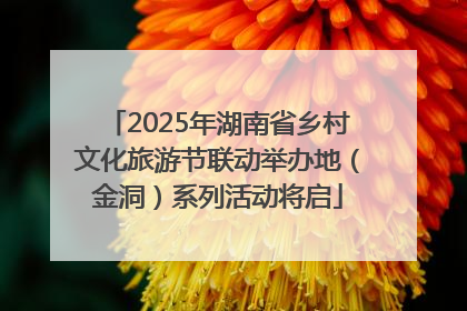 2025年湖南省乡村文化旅游节联动举办地（金洞）系列活动将启